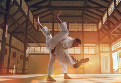 O Papel Do Professor No Jiu Jitsu: Fortalecendo A Comunidade E O Espírito De Equipe