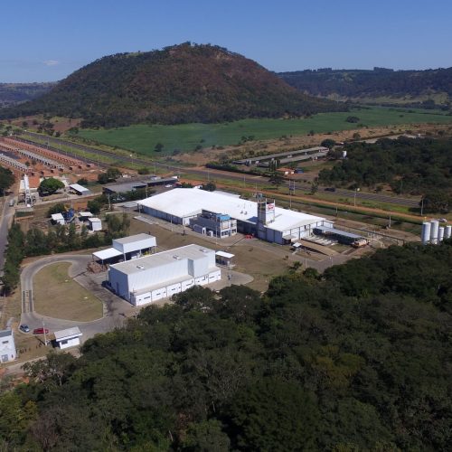 Fider expande produção de tilápia em 80% e projeta crescimento de 30% no faturamento
