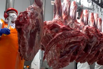 Exportação de carne brasileira navegará entre desafios e oportunidades em 2025