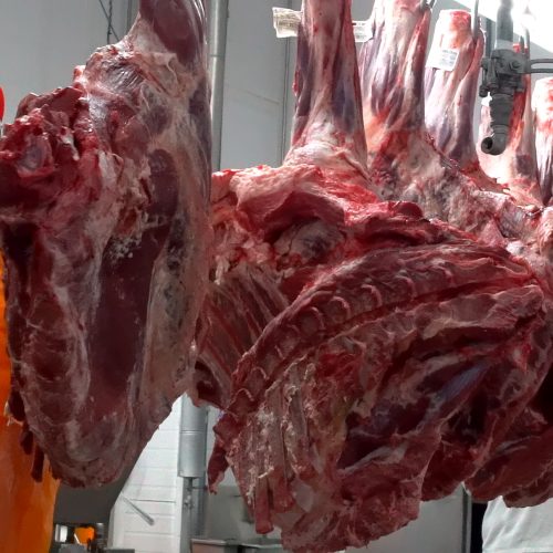 Exportação de carne brasileira navegará entre desafios e oportunidades em 2025