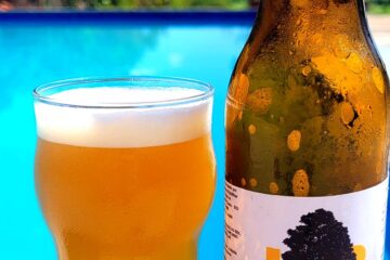 Projeto de impacto positivo da Cervejaria WaldBier se Junta ao Programa LaunchUp da FasterCapital