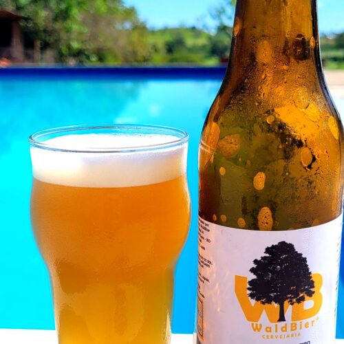Projeto de impacto positivo da Cervejaria WaldBier se Junta ao Programa LaunchUp da FasterCapital