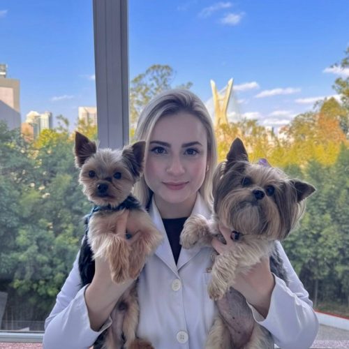 Oncologia Veterinária: avanços, tratamentos e esperança para cães e gatos com câncer