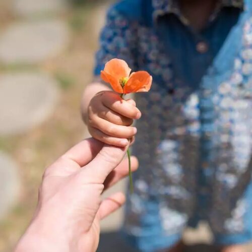 Dia da Gentileza: quando o amor vira ação e transforma comunidades inteiras