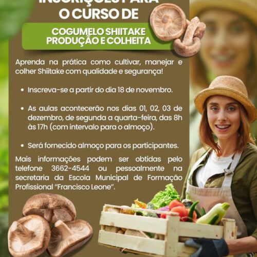 Aprenda a produzir e colher cogumelos shiitake em curso de educação agrícola
