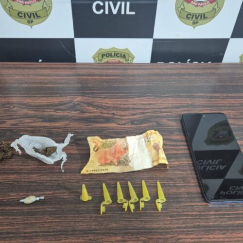 Mulher é presa por tráfico após ação da Polícia Civil