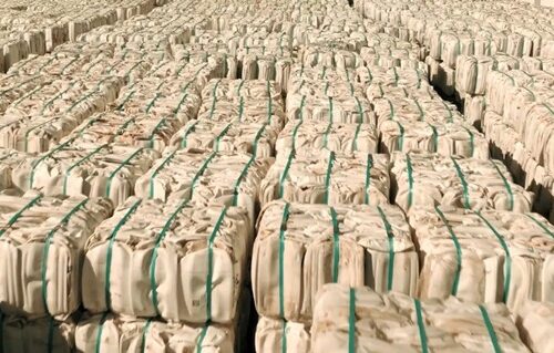 Sistema Campo Limpo bate recorde de destinação e reduz em 5% o gasto por quilo destinado
