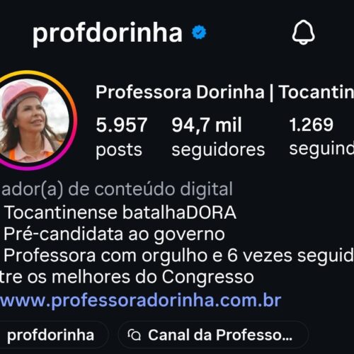 Senadora Dorinha enfrenta nova onda de manipulação de seguidores nas redes sociais